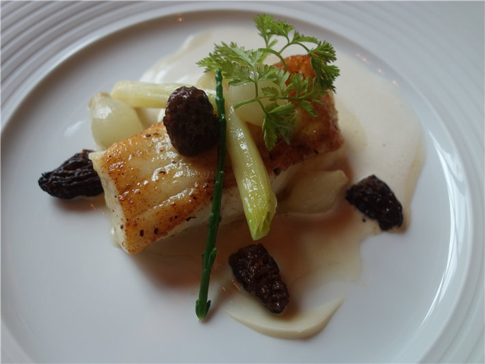 turbot with morels